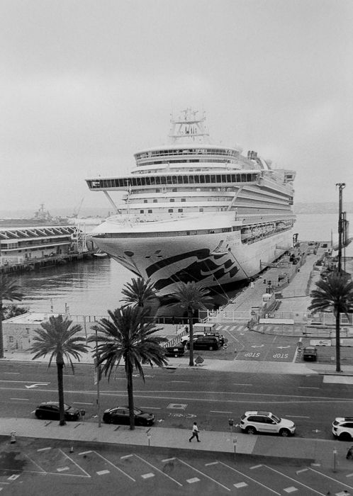 a massive cruise ship outside my window in San Diego Bay