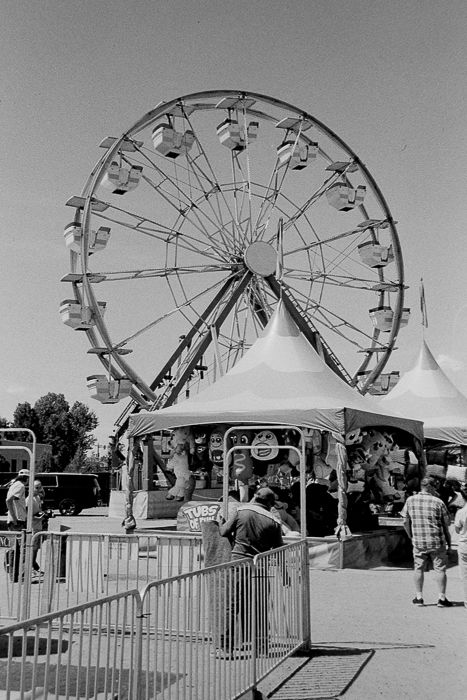 the Ferris wheel at the Douglas County Fair